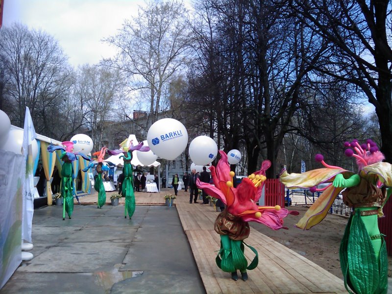 ЖИВЫЕ ЦВЕТЫ - 9